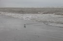plage du Touquet à Berck
